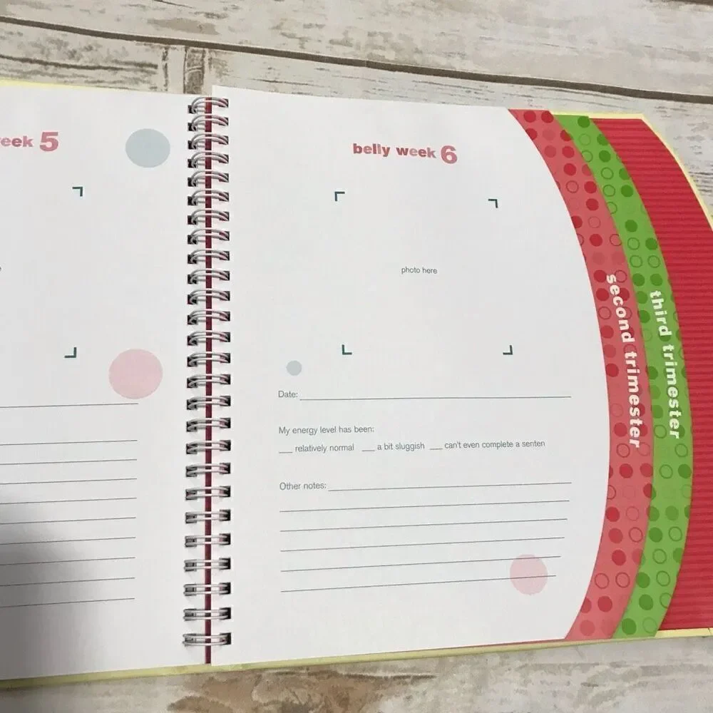 The Belly Book A Nine‎ Month Pregnancy Journal Scrapbook